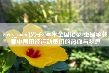 金湖男子5000米全国记录-更是承载着中国田径运动员们的热血与梦想