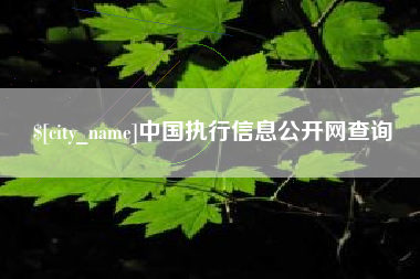 金湖中国执行信息公开网查询