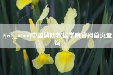 金湖中国消防救援学院官网首页查询