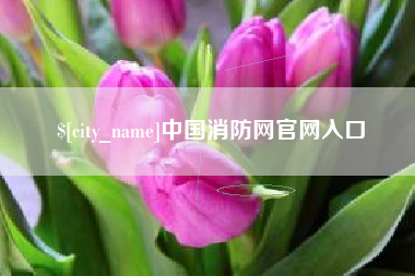 金湖中国消防网官网入口