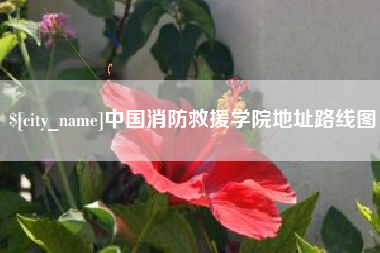 金湖中国消防救援学院地址路线图