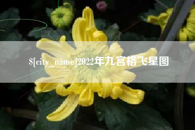 金湖2022年九宫格飞星图
