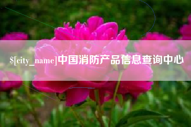 金湖中国消防产品信息查询中心