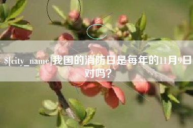 金湖我国的消防日是每年的11月9日对吗？