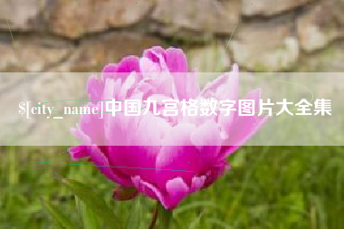 金湖中国九宫格数字图片大全集