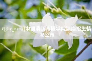 金湖中国消防救援学院湖南招生情况公布