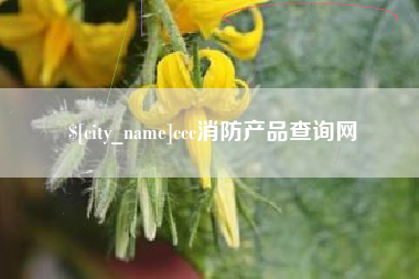 金湖ccc消防产品查询网