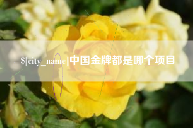 金湖中国金牌都是哪个项目