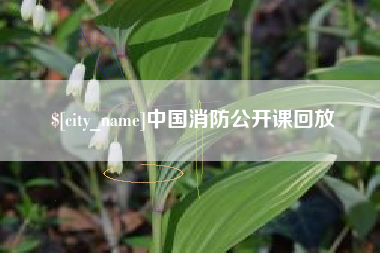 金湖中国消防公开课回放