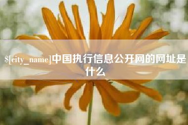 金湖中国执行信息公开网的网址是什么