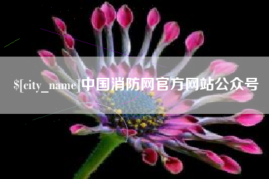 金湖中国消防网官方网站公众号