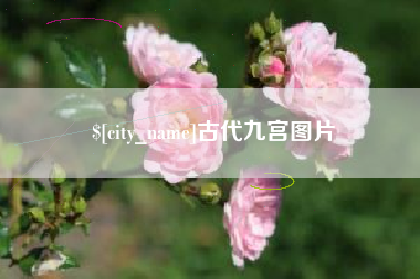 金湖古代九宫图片