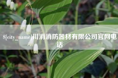 金湖川消消防器材有限公司官网电话