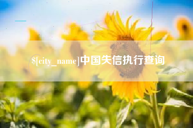 金湖中国失信执行查询