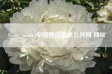 金湖中国执行信息公开网 网址
