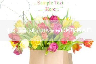 金湖xfhyjd.119.gov cn官网报名入口