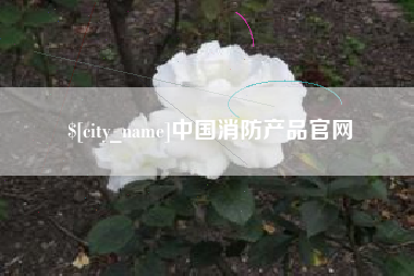 金湖中国消防产品官网