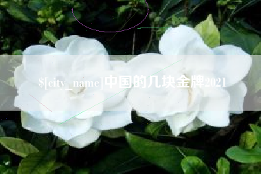 金湖中国的几块金牌2021