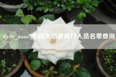 金湖中国失信被执行人员名单查询
