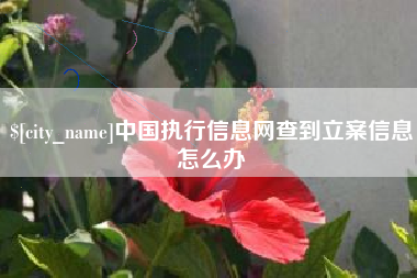 金湖中国执行信息网查到立案信息怎么办