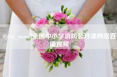 金湖全国中小学消防公开课网络直播视频