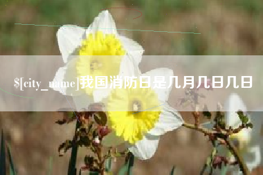 金湖我国消防日是几月几日几日