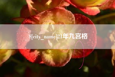 金湖21年九宫格