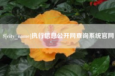 金湖执行信息公开网查询系统官网