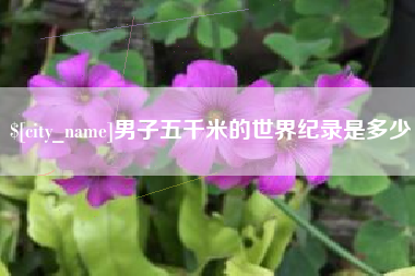 金湖男子五千米的世界纪录是多少