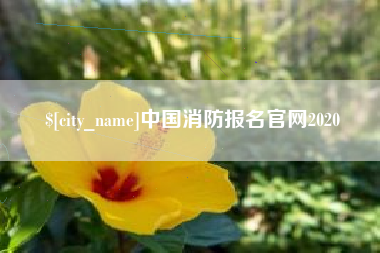 金湖中国消防报名官网2020