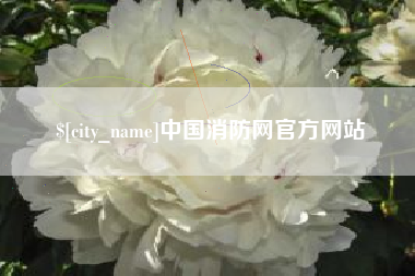 金湖中国消防网官方网站