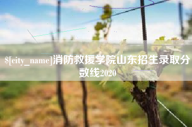 金湖消防救援学院山东招生录取分数线2020