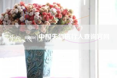 金湖中国失信执行人查询官网