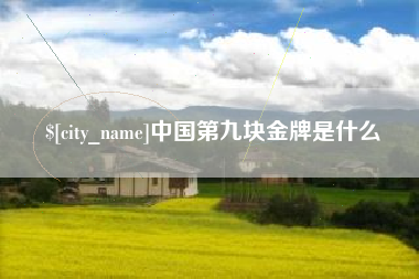 金湖中国第九块金牌是什么