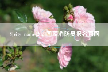 金湖2021国家消防员报名官网