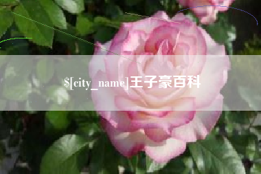 金湖王子豪百科