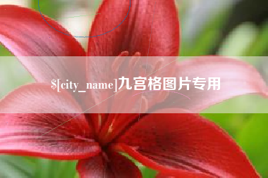 金湖九宫格图片专用