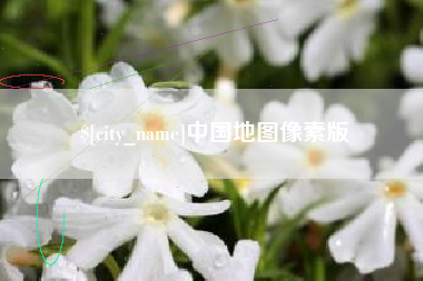 金湖中国地图像素版