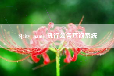 金湖执行公告查询系统