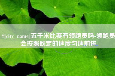 金湖五千米比赛有领跑员吗-领跑员会按照既定的速度匀速前进