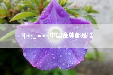 金湖中国金牌都是啥