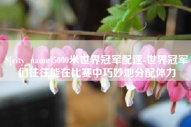金湖5000米世界冠军配速-世界冠军们往往能在比赛中巧妙地分配体力