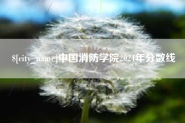 金湖中国消防学院2024年分数线