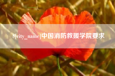 金湖中国消防救援学院要求