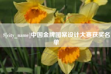 金湖中国金牌图案设计大赛获奖名单