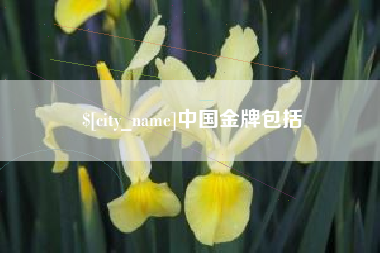 金湖中国金牌包括