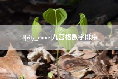 金湖九宫格数字排序