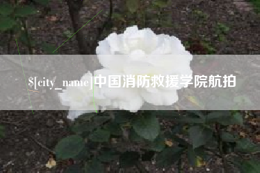 金湖中国消防救援学院航拍