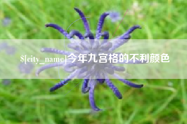 金湖今年九宫格的不利颜色