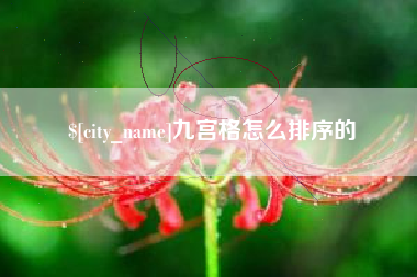 金湖九宫格怎么排序的